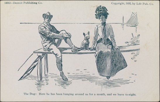 The dog: here he has been hanging around us for a month, and we leave to-night.