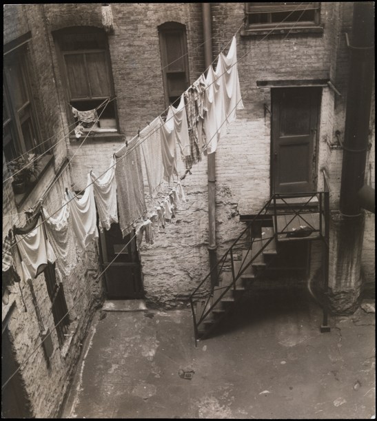 John Albok's backyard, view of clothesline strung between windows in brick courtyard, 1392 Madison Ave.