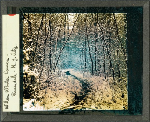 George Miller, Jr. When Winter Comes - Riverdale - N.Y. City. ca. 1930. Museum of the City of New York. X2010.12.152