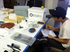 Archival Fellow Hoang Tran surveys objects at the Museum's offsite facility.