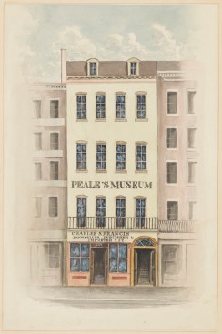 Peale's Museum