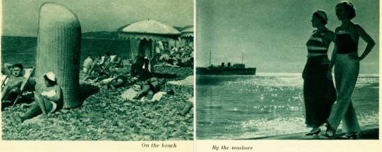 Excerpt from Sochi pamphlet, 1939, in the 1939-1940 New York World’s Fair Collection. Museum of the City of New York. 95.156.61.