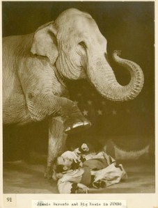 Jimmy Durante and Big Rosie the elephant