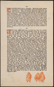 Chantecler_Museum_of_the_City_Of_New_York_20