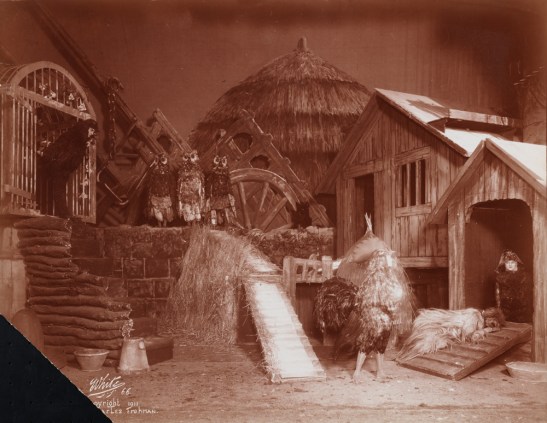 "Chantecler" theater still, 1911. From the Theater Collection. Museum of the City of New York, 48.367.58.