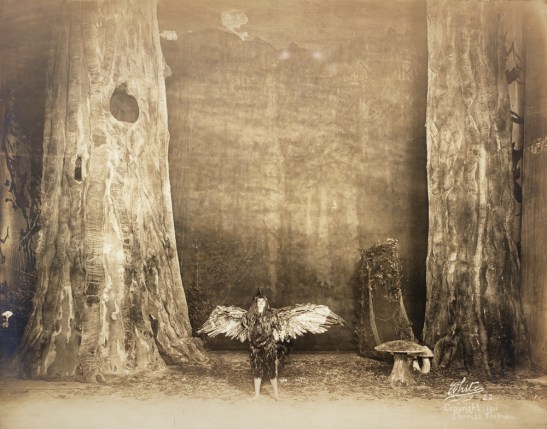 "Chantecler" theater still, 1911. From the Theater Collection. Museum of the City of New York, 48.367.60.