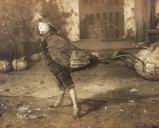 "Chantecler" theater still, 1911. From the Theater Collection. Museum of the City of New York, 48.367.65.