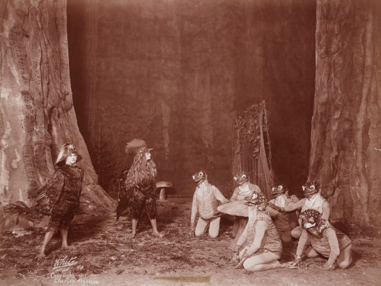 Act 4 of "Chantecler" - "In the Heart of a Wood", 1911. From the Theater Collection. Museum of the City of New York, 48.367.53.