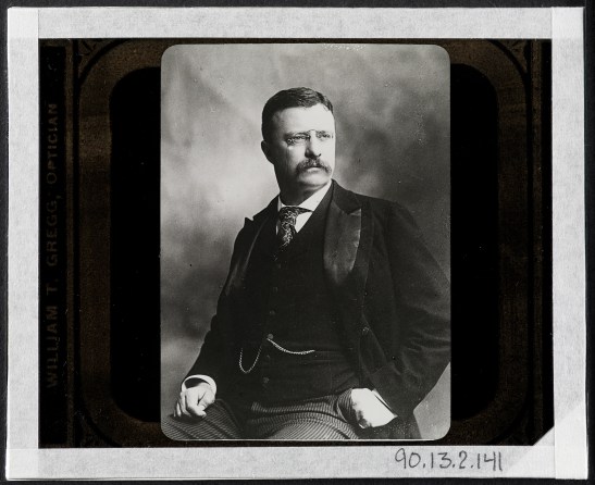 Jacob August Riis (1849-1914). Theodore Roosevelt when Governor of New York, 1898-1900, ca. 1899. Museum of the City of New York. 90.13.2.141
