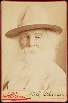 Sarony, Walt Whitman, ca. 1878, Museum of the City of New York, 39.477.10