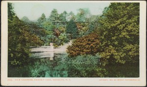 Detroit Photographic Co. Vale Cashmere, Prospect Park, Brooklyn, N. Y. 1904. Museum of the City of New York. X2011.34.1851