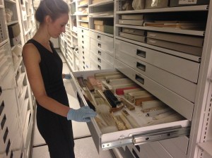 Madeleiene Hazelwood, Collections Assistant, accessing fans in the Costumes and Textiles storage area of the Curatorial Center.